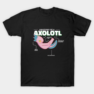 Anatomy of Axolotl T-Shirt